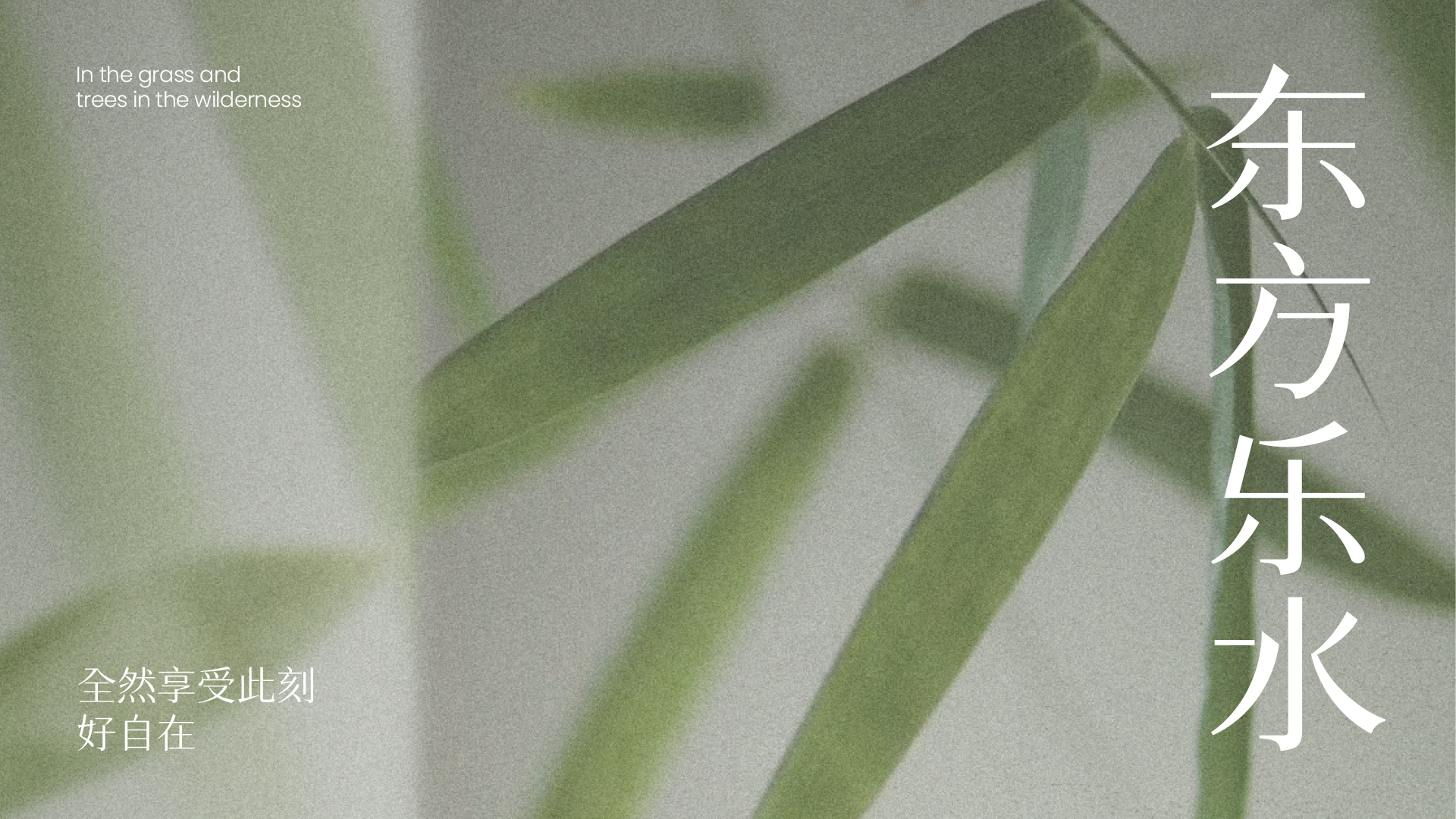 东方乐水｜植物水品牌形象设计