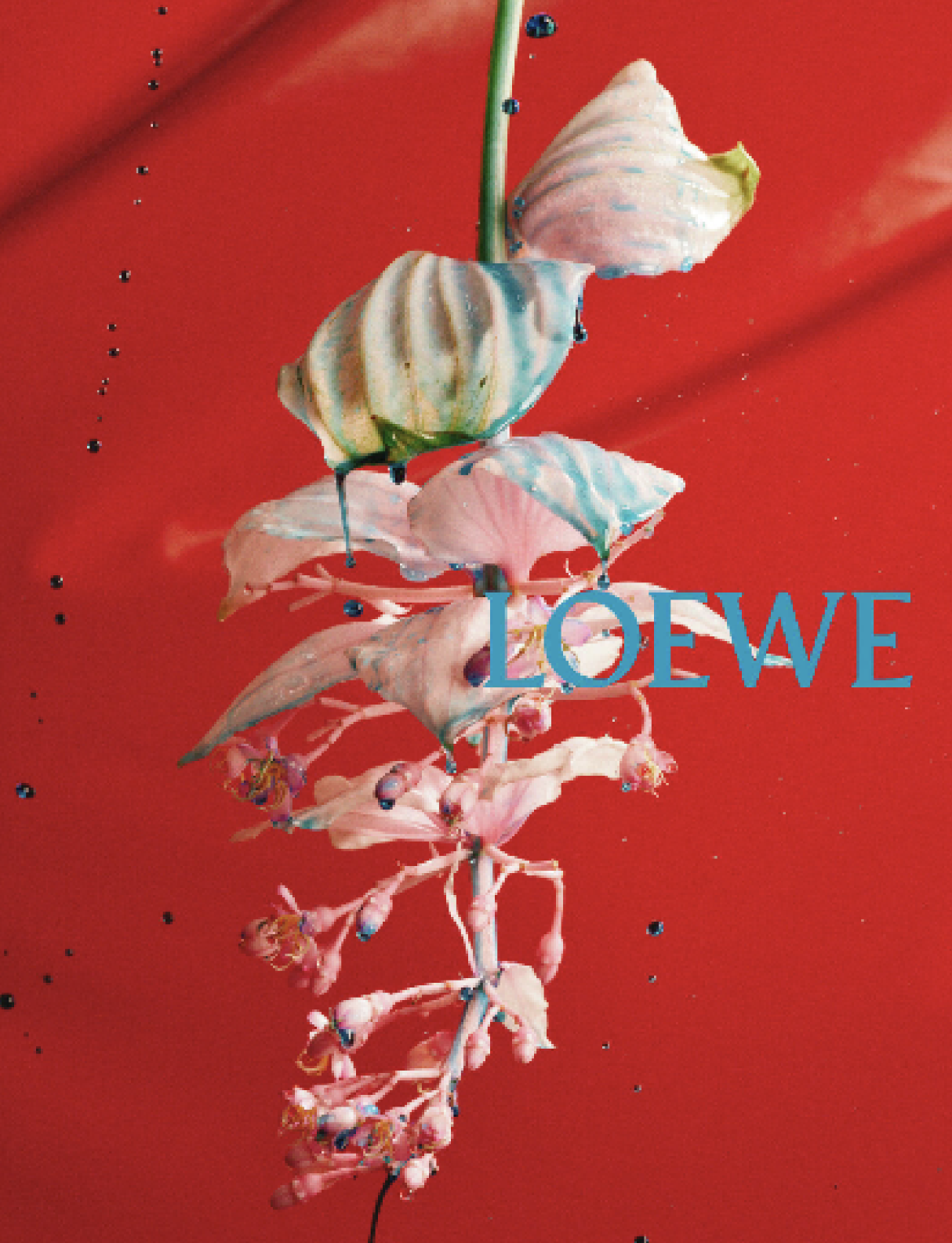 中小品牌怎么学创意？看营销鬼才罗意威如何拿捏年轻人